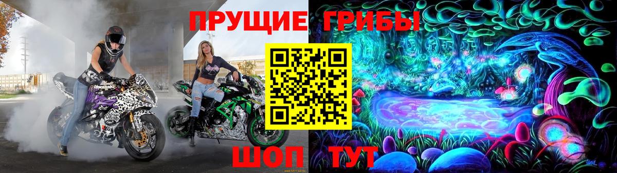 Галлюциногенные грибы Psilocybe Острогожск