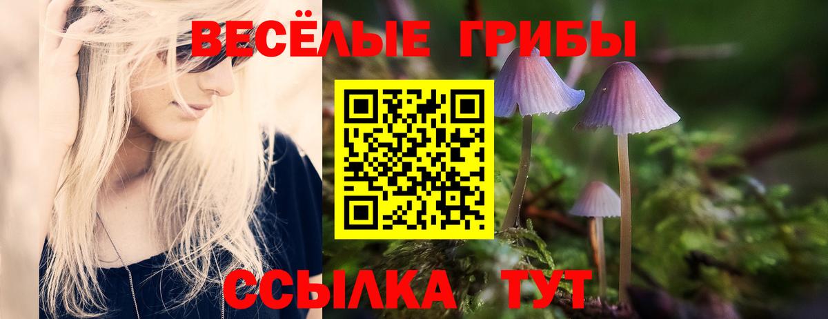Псилоцибиновые грибы Psilocybine cubensis  Вход с VPN  купить закладку  Острогожск 